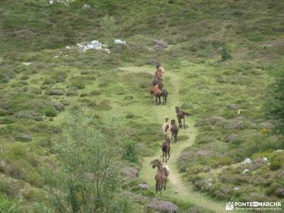 Santoña,Monte Buciero-Collados del Asón;cuchillos de contreras cañon de rio lobos rutas ruta de l